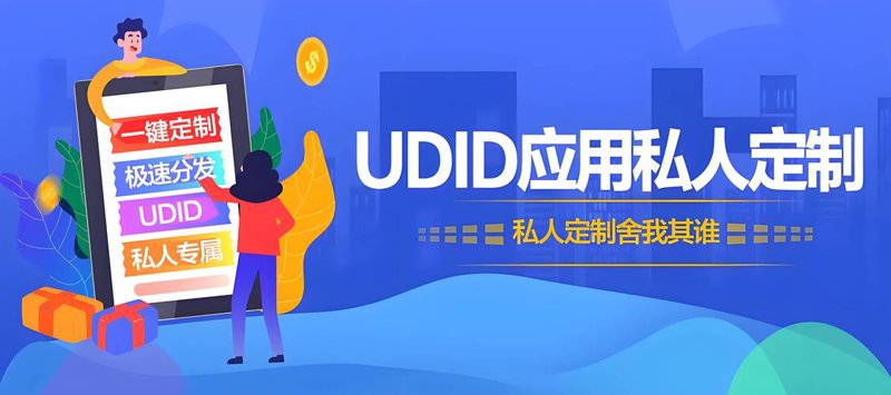 定制化软件
