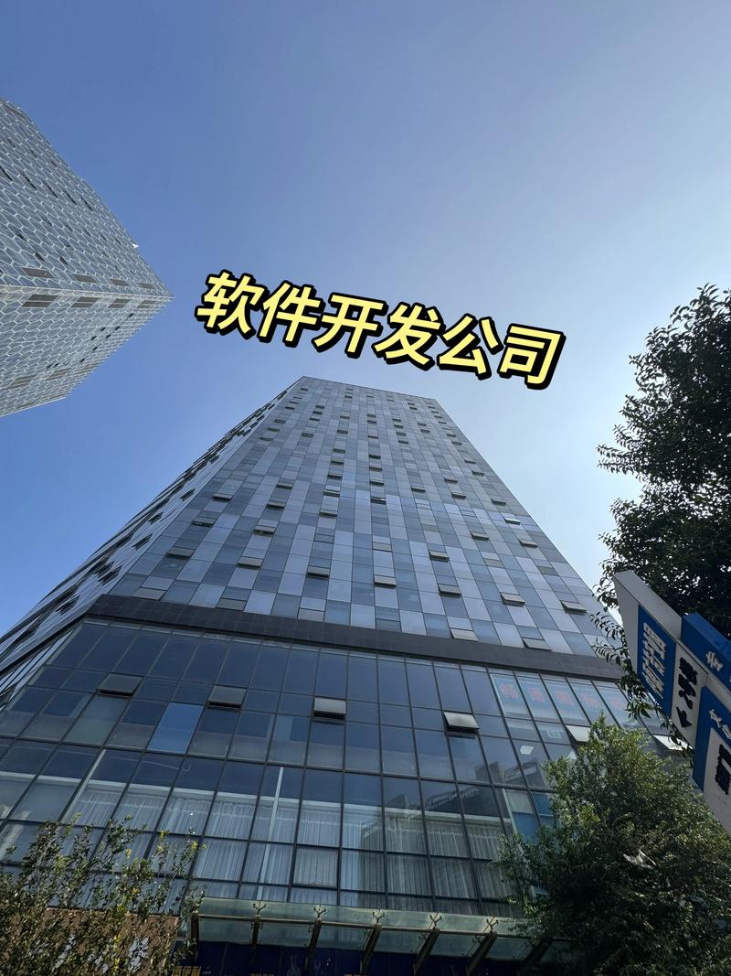 深圳软件开发行业：紧跟数字化转型步伐